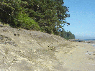 image of the tidal flats
