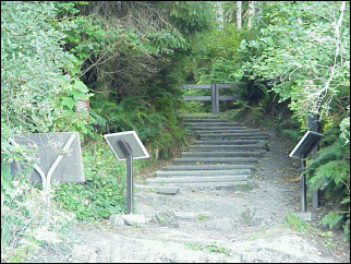 Image of the stairs to the beach, when the tide cuts off your beach trail be aware of escape trails.
